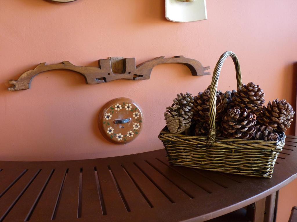 Hospedaje Loma Bonita Guest House Trasvia Εξωτερικό φωτογραφία